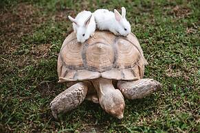 Thavorn Palm Beach Resort Phuket