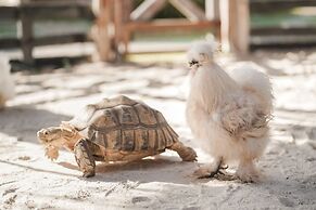 Thavorn Palm Beach Resort Phuket