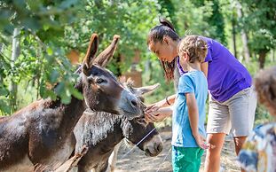 Terre Blanche Hotel Spa Golf Resort