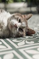 Villa Ganz Boutique Hotel