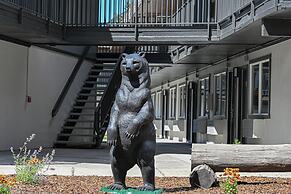 The Jackson SouthTown