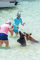 Bahama Beach Club Resort