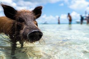 Bahama Beach Club Resort