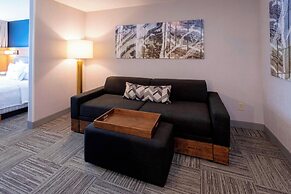 SpringHill Suites by Marriott Rochester-Mayo Clinic/St Marys