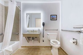 Comfort Inn & Suites FM1960-Champions