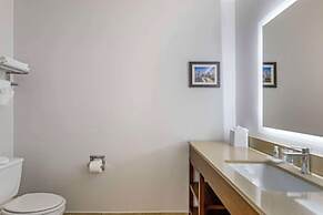 Comfort Inn & Suites FM1960-Champions