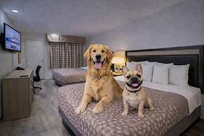 Discovery Inn