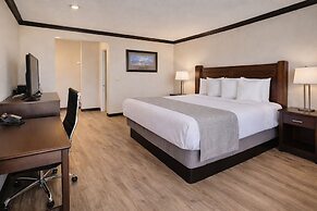 Discovery Inn