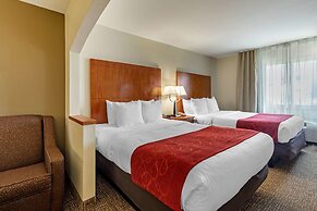 Comfort Suites North Dallas