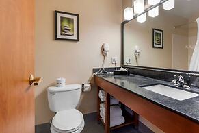 Comfort Suites North Dallas