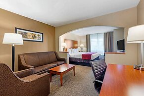 Comfort Suites North Dallas