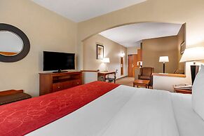 Comfort Suites North Dallas