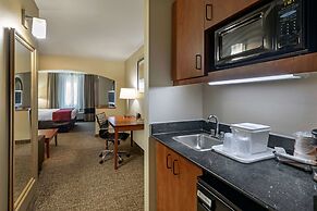 Comfort Suites North Dallas