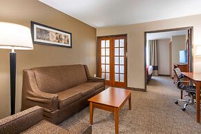 Comfort Suites North Dallas