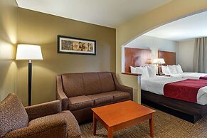 Comfort Suites North Dallas