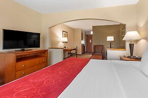 Comfort Suites North Dallas