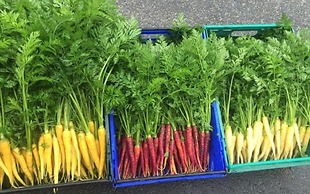 Knockranny House Hotel and Spa