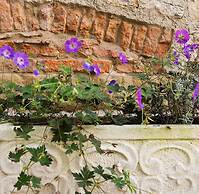 Romantik Hotel Markusturm