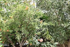 Andriani's Guest House