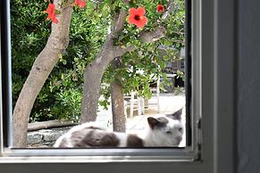 Andriani's Guest House