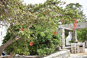 Andriani's Guest House