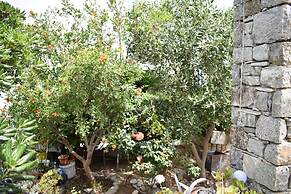 Andriani's Guest House