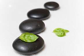 Paihia Beach Resort & Spa Hotel