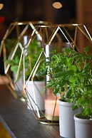 Home Hotel Grand Bodø