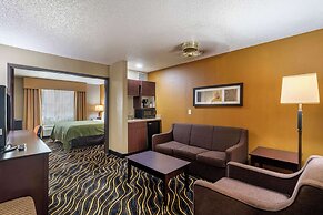 Quality Suites Addison - Dallas