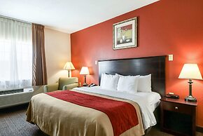 Quality Inn Kingsville Hwy 77
