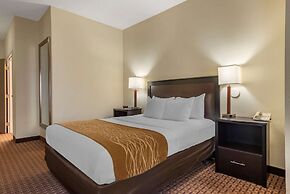 Comfort Inn & Suites Warsaw near US-30