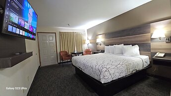 Roosevelt Inn Mount Rushmore
