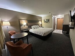 Roosevelt Inn Mount Rushmore