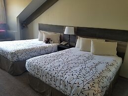 Roosevelt Inn Mount Rushmore