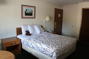 Roosevelt Inn Mount Rushmore