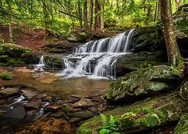 Holiday Inn Express Olean by IHG