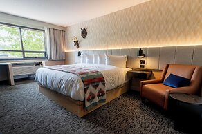 MTN House By Basecamp