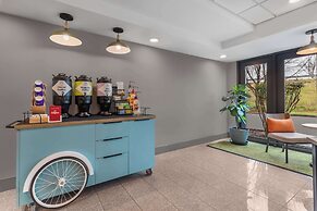 Spark by Hilton Winchester