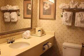 Wingate by Wyndham Duluth/Atlanta