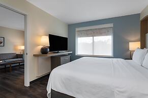 Holiday Inn Tampa North by IHG