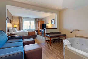 Comfort Inn & Suites Wilkes Barre - Arena