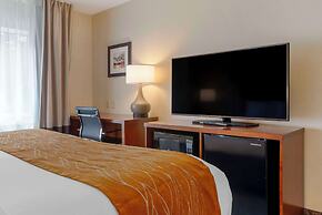 Comfort Inn & Suites Wilkes Barre - Arena