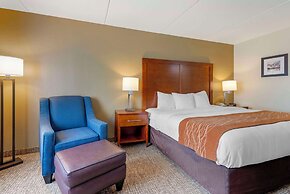 Comfort Inn & Suites Wilkes Barre - Arena