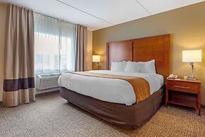 Comfort Inn & Suites Wilkes Barre - Arena