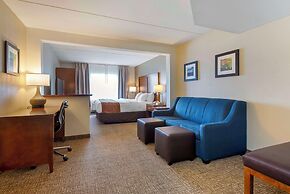 Comfort Inn & Suites Wilkes Barre - Arena