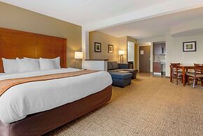 Comfort Inn & Suites Wilkes Barre - Arena
