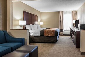 Comfort Inn Blue Ash North