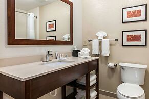 Comfort Inn Blue Ash North