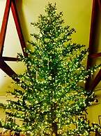 Lakeside Lodge And Suites