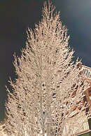 Lakeside Lodge And Suites